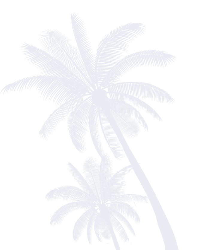 Palm 4
